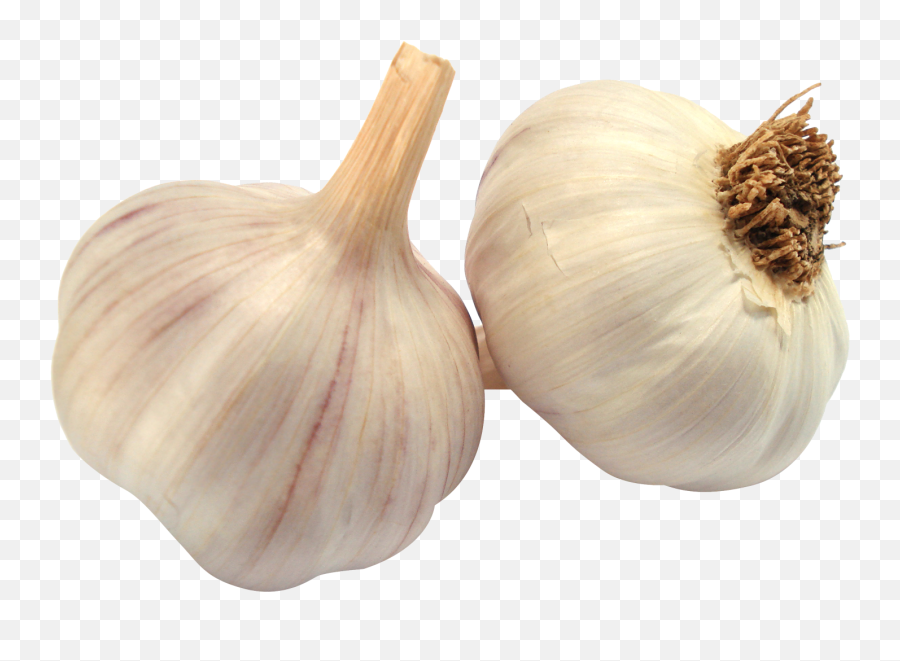 Garlic Png Transparent Free Images Only Pikachu