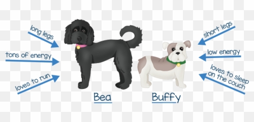 The Top 5 Reasons To Choose Mastery - based Curriculum Dog Supply png