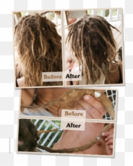 Dreadlock Maintenance Gold Coast To Byron Bay - Fixing Dreads With Crochet Hook Png,Dreads Png