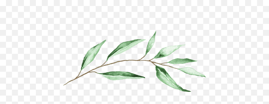 Cropped - Iconpng Greenlawn Twig,Share On Facebook Icon