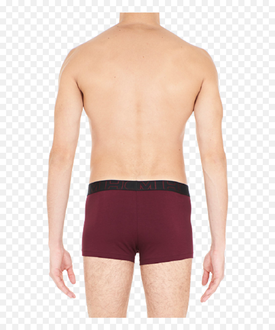 Hom Boxerlines 1 Boxer Briefs 2pack Black - Burgundy Hom Solid Png,Calvin Klein Icon Long Robe