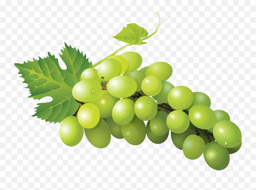 Sultana Grape Zante Currant Seedless Fruit Sauvignon Blanc - Grape Transparent Png,Grapes Png