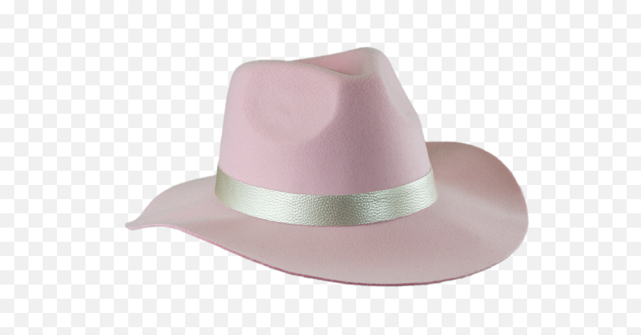 Download Lady Gaga Joanne Hat Png - Lady Gaga Joanne Hat,Backwards Hat Png