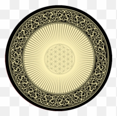 Flower Of Life Dabpadz - Celtic Flower Of Life Png,Flower Of Life Png
