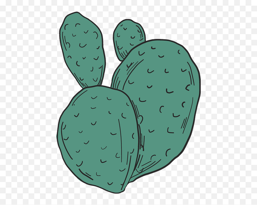 Plants Clipart - Eastern Prickly Pear Png,Cactus Clipart Png