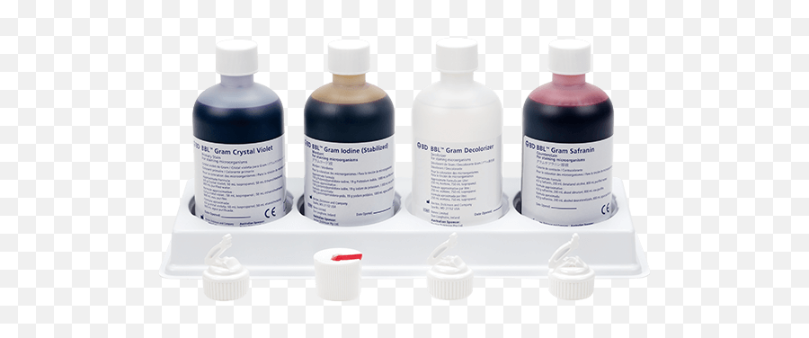 Gram Stain - Bd Gram Stain Reagents Png,Blood Smear Png