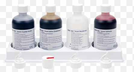 Gram Stain - BD Reagents png