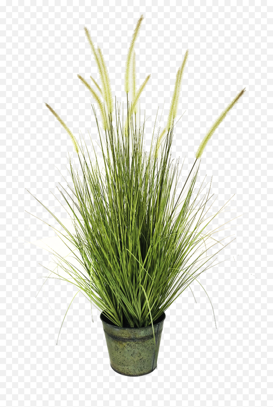 Foxtail Grass Artificial Potted Plant 42 - Large Faux Plant Png,Fox Tail Png