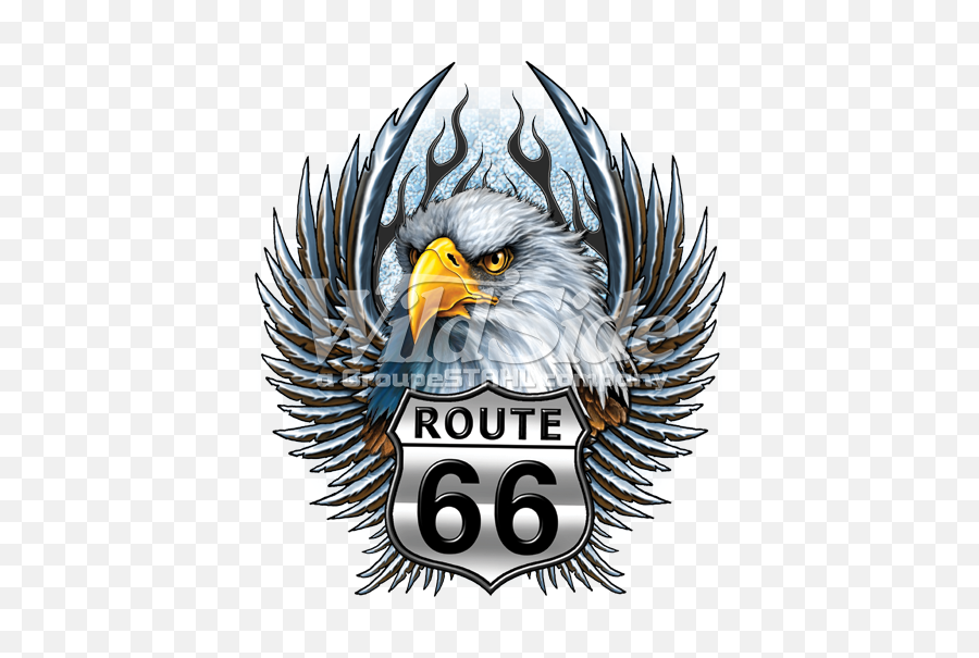 Download Rt66 Eagle Head Wings - Illustration Png,Eagle Head Logo