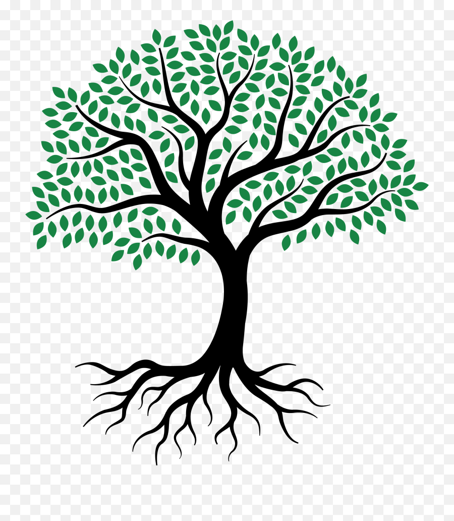 Drawing Root Tree Sketch - Draw Tree With Roots Png,Tree Of Life Png