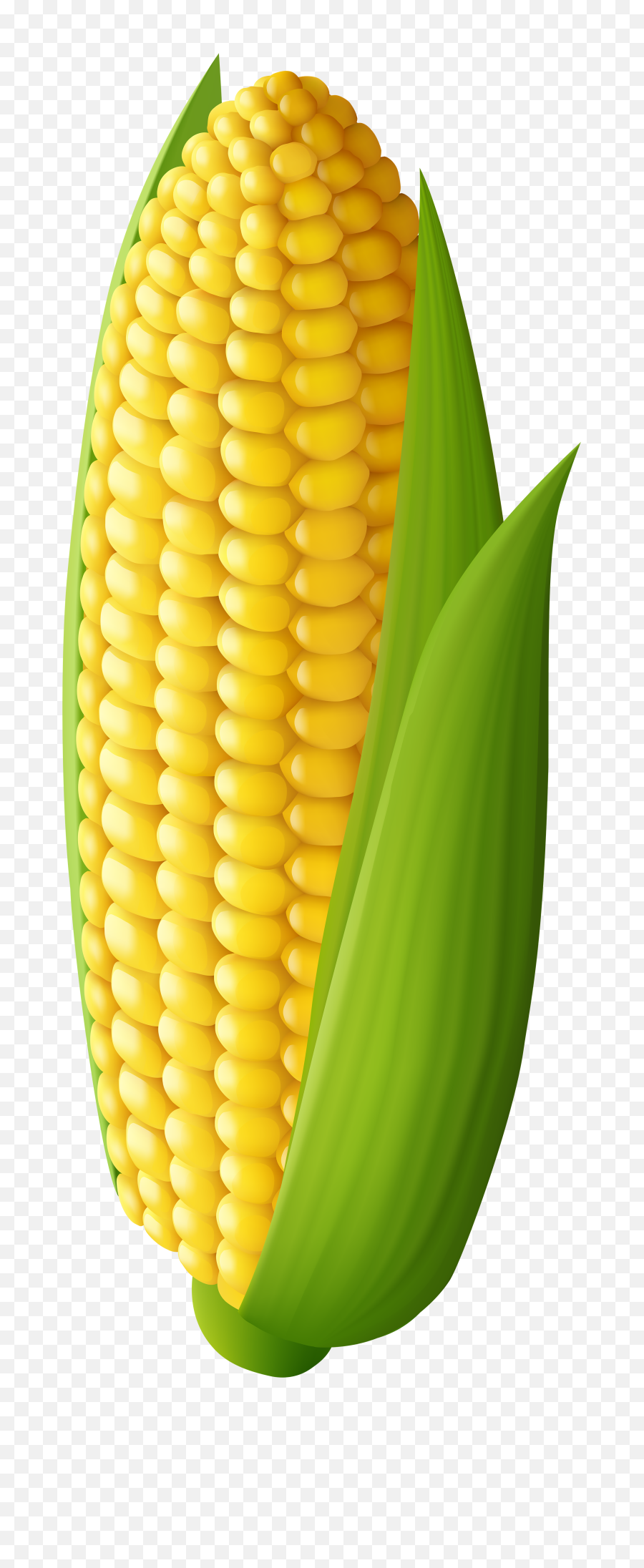 Free Corn - Corn Clipart Transparent,Corn Cob Png