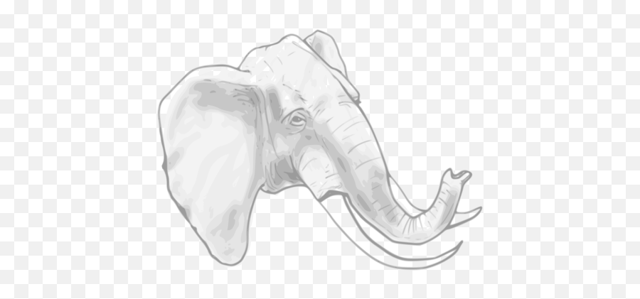 Indian Elephant African Line Art Drawing Elephants - Asian Elephant Drawing Png,Elephants Png