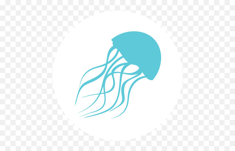 Home - Jellyfish Graphic Png,Jellyfish Png