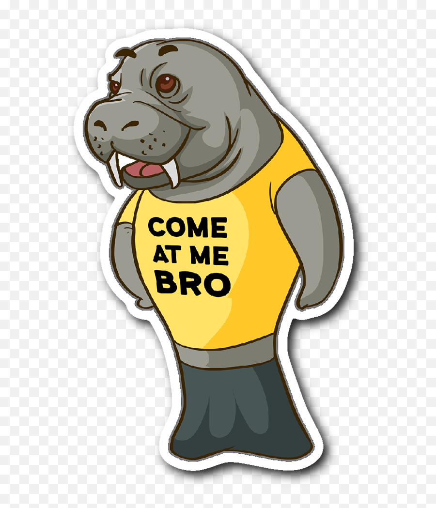 Download Manatee Come - Cartoon Png,Manatee Png