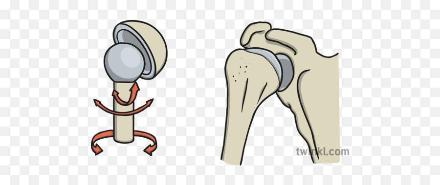 Method and apparatus for hip replacement - Eureka | Patsnap