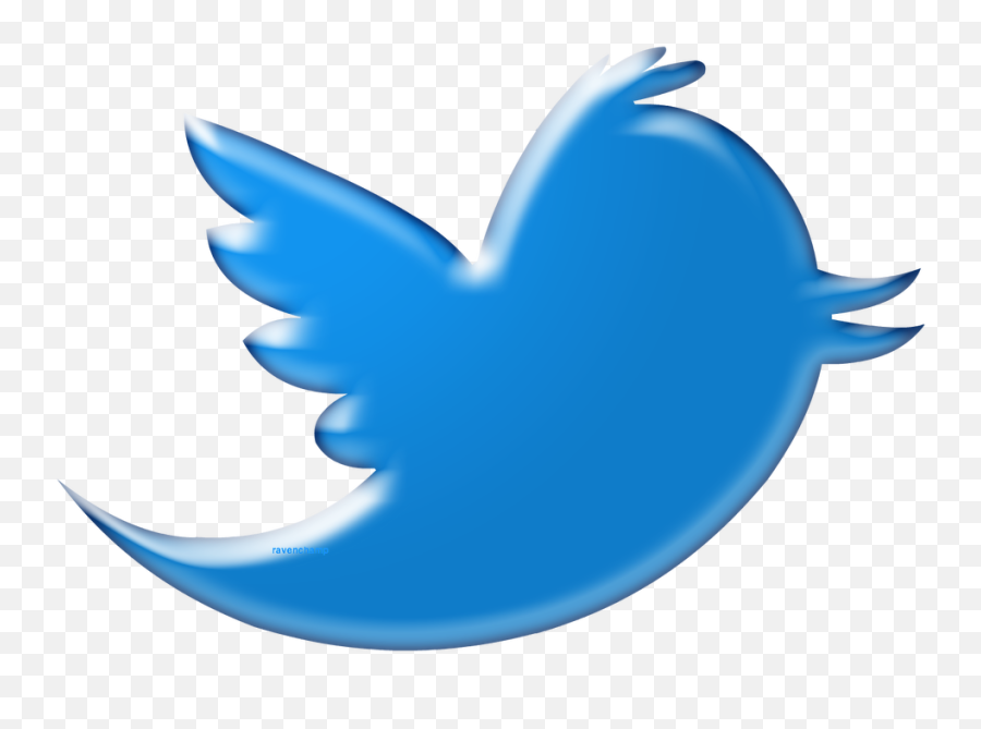 Twitter Bird Png Transparent 5 Image - Portable Network Graphics,Twitter Bird Transparent