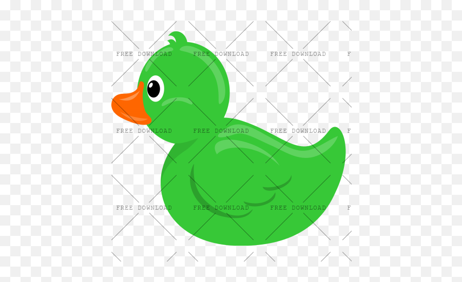 Duck Goose Swan Bird Png Image With - Green Rubber Duck Clipart,Ducks Png