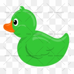 Duck Goose Swan Bird Png Image With - Green Rubber Duck Clipart,Ducks Png