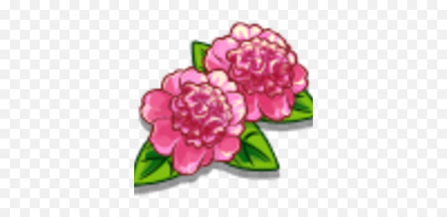 Ballet Queen Flower Farmville Wiki Fandom - Artificial Flower Png,Flower Icon Png