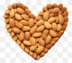 Almonds - Transparent Almond Png,Almond Png