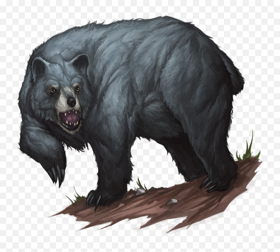 Black Bear - Grizzly Bear Pathfinder 2e Png,Black Bear Png