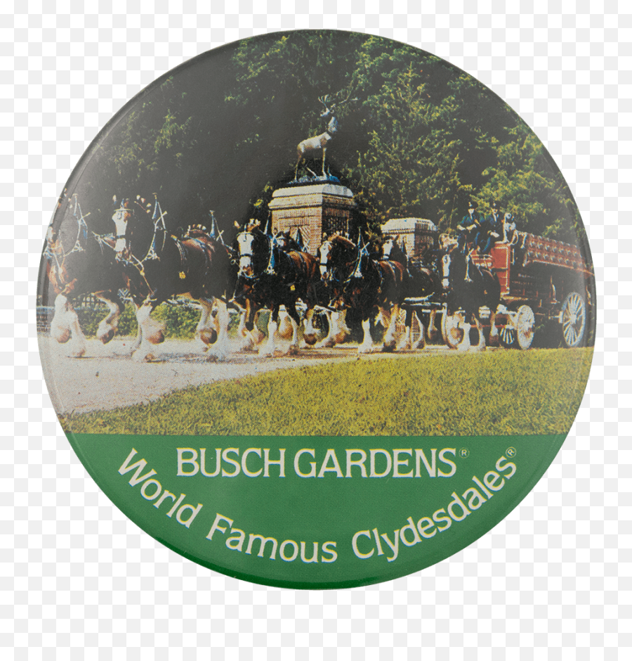 Busch Gardens World Famous Clydesdales - Horse Supplies Png,Busch Gardens Logo