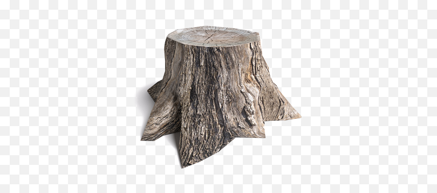 Stump Png 4 Image - Solid,Stump Png