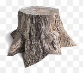 Stump Png 4 Image - Solid,Stump Png