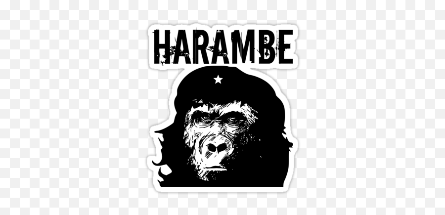 Che Harambe Png Transparent