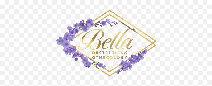 Gynecologists U0026 Obgyn In Houston Tx Bella Obstetrics And - Decorative Png,Bella Png