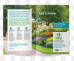 Buy Trees Online - FastGrowingTreescom Grassland png