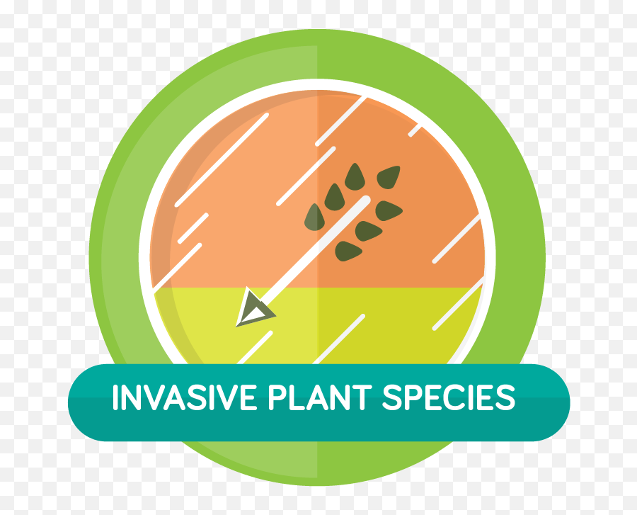 Tom Ridge Environmental Center - Advantica Png,Invasive Plant Icon