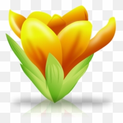 Casci - 52 Life Science Content ClassConnect Fresh png