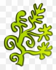 Clip Art - Transparent Algae Clipart Png,Algae Png
