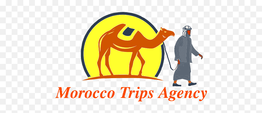 Vacation In Morocco - Arabian Camel Png,Camel Logo