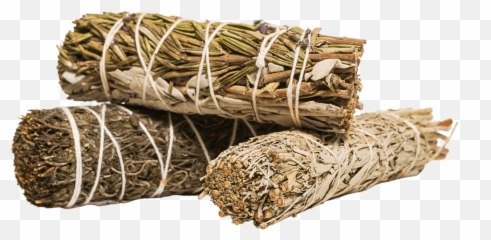 Daily Cleansing Sage Bundle - Cinnamomum png