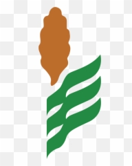 Kgspa Chooses Leadership Officers For 2021 Kansas Grain - Sorghum Commission png