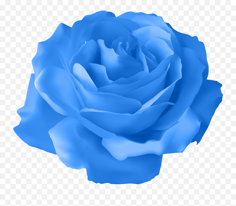 Blue Rose Transparent Png Clip Art Clipart