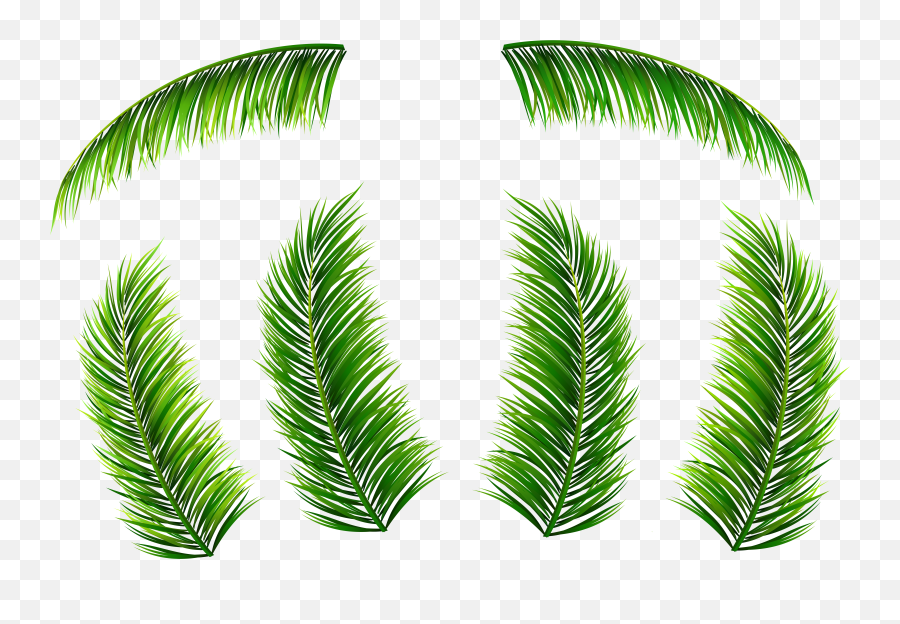 Palm Leaf Clipart Png - Palm Leaf Png,Palm Png
