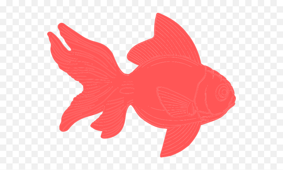 Coral Fish Clipart Clip Art - Vector Clip Art Clipart Gray Fish Png,Fish Clipart Png