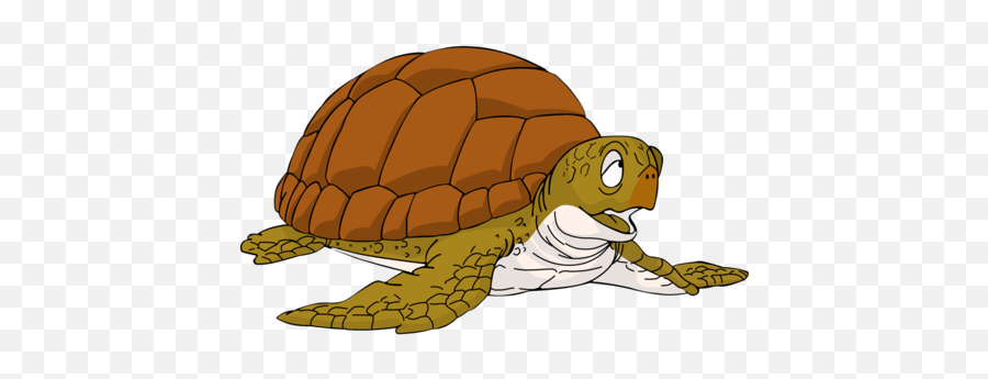 Turtle - Dragon Ball Turtle Png,Master Roshi Png