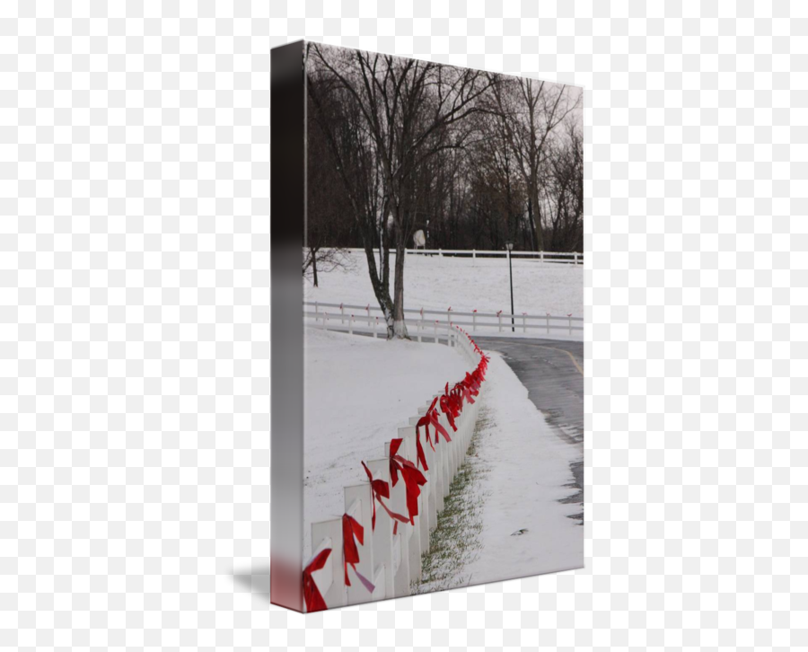 White Picket Fence With Red Bows In A Wintry Scene By Ann Kagarise - Snow Png,White Picket Fence Png