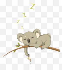 Download Hd Drawn Koala Transparent - Cute Koala Kawaii Koala Png,Koala Transparent