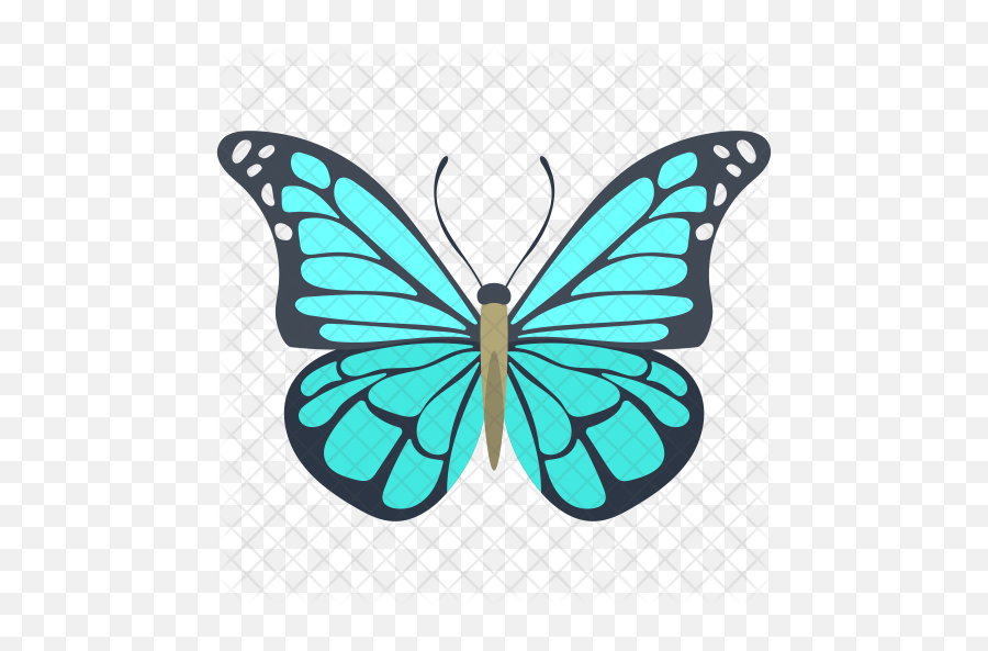 Blue Morpho Butterfly Icon - Gambar Animasi Kupu Kupu Png,Butterfly Outline Png