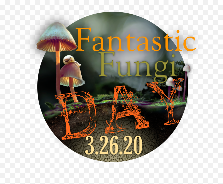 Fantastic Fungi Day - Fantastic Fungi Day Png,Fungi Png