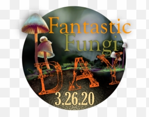 Fantastic Fungi Day - Fantastic Fungi Day Png,Fungi Png