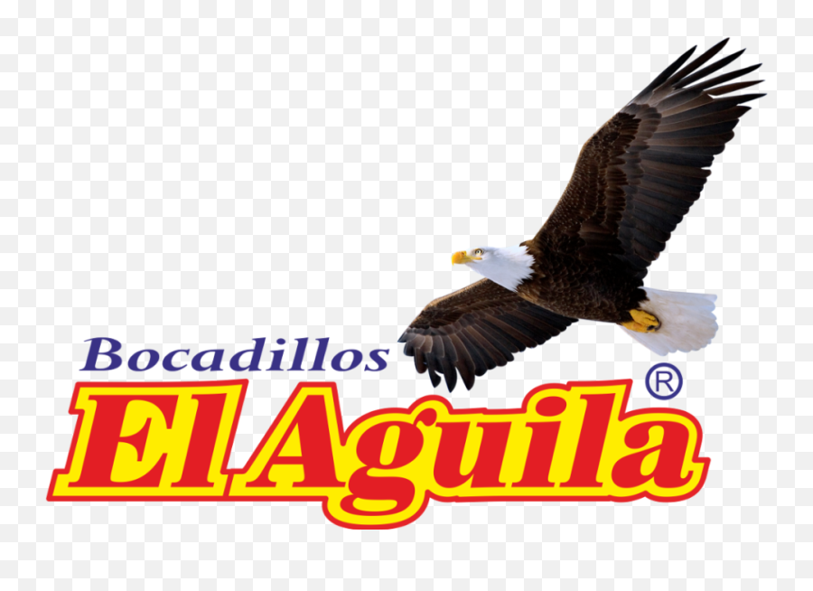 Bald Eagle Png Image - Bocadillos El Aguila,Bald Eagle Png