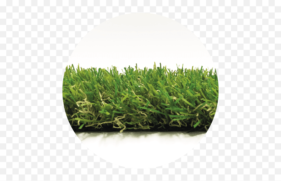 Core Lawn - Artificial Grass Fake Lawns No Mowing Or Lawn Png,Lawn Png