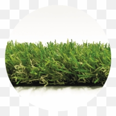 Core Lawn - Artificial Grass Fake Lawns No Mowing Or Lawn Png,Lawn Png