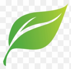 Leaf Cartoon Png 5 Image - Clipart